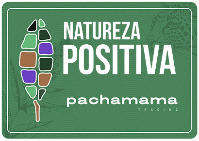 logo principal pachamama